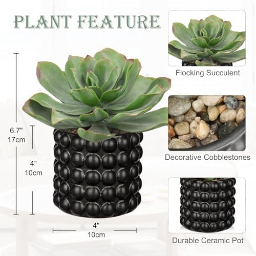 Briful Succulents Plants Artificial for Home Decor, Realistic Potted Fake Plant, Bubbled Plant Pot, Cute Succulents Faux Plant, Shelf Tables Decor, Modern Farmhouse Home Decorations - Image 2