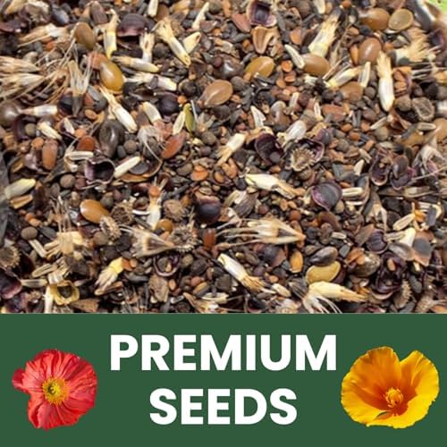 California Regional Mix – 3,500 Seeds for Planting – 2026 Season – 5 Gram Pouch - Image 6