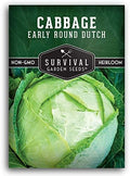 Early Round Dutch Cabbage Seeds - Survival Garden Seeds (1 Pack) by SurvivalGardenSeeds
