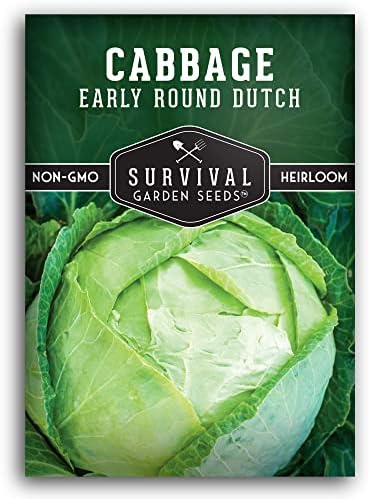 Early Round Dutch Cabbage Seeds - Survival Garden Seeds (1 Pack) by SurvivalGardenSeeds