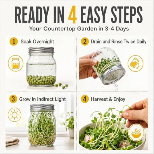 Todd's Seeds Green Pea Sprouting Seeds 1lb – Non-GMO Triple-Cleaned - Image 4