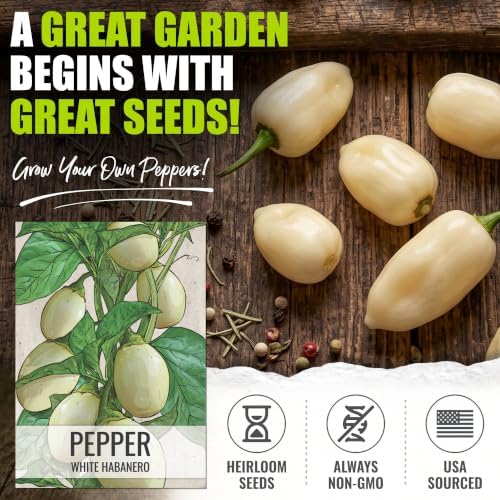 Seed Needs White Habanero Hot Pepper Seeds to Plant Vegetables - 2 Packs - Image 2