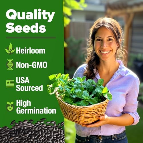 HOME GROWN Peppermint Seeds, 2,370 Seeds, Mentha x piperita - Image 2