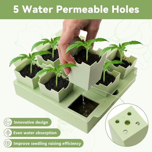 Seed Starter Tray with Lift-Out Handles for Easy Transplanting - Image 2