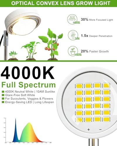 Plant Grow Light, LED Growing Light Full Spectrum for Indoor Plants,White Magnifying Glass Plant Lights,Height Adjustable, Automatic Timer, 5V Low Safe Voltage,Idea for Large - Image 4