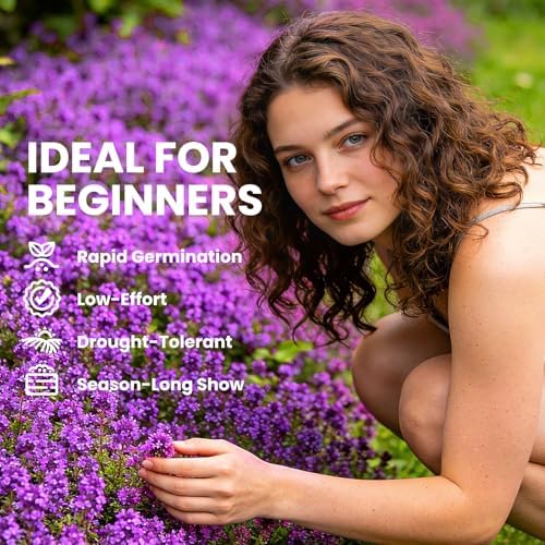 20000+pcs Creeping Thyme Seeds for Planting, Perennial Ground Cover Plants Flowers Seeds Fragrant Herb Seeds for Lawns & Paths Garden - Image 3