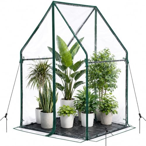 Mini Greenhouse for Indoor Outdoor: Ohuhu Portable Green House with Waterproof Pad for Small Plants Nursery Germination, 36"x36"x58.5" Heavy-Duty PVC Cover Tent Humidity Dome Seedling Accessory by Ohuhu