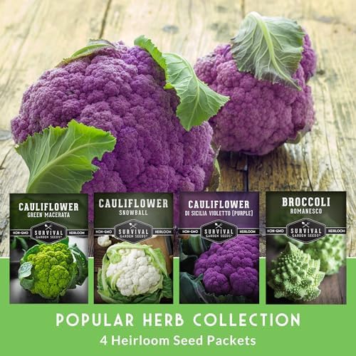 Cauliflower Seeds 4 Variety Pack for Planting – Survival Garden Seeds - Image 3