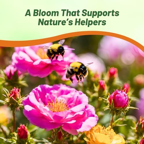 Outsidepride Pink Moss Rose Seeds - 10000 Pcs Annual, Drought & Heat Tolerant, Pollinator Friendly Ground Cover Seeds for Planting w/Vibrant Blooms & Succulent Foliage, Ideal for Xeriscaping - Image 4