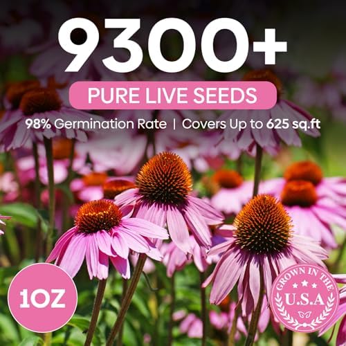 Purple Coneflower Seeds 1OZ Perennial Flower Seed for Planting - Echinacea - Image 2