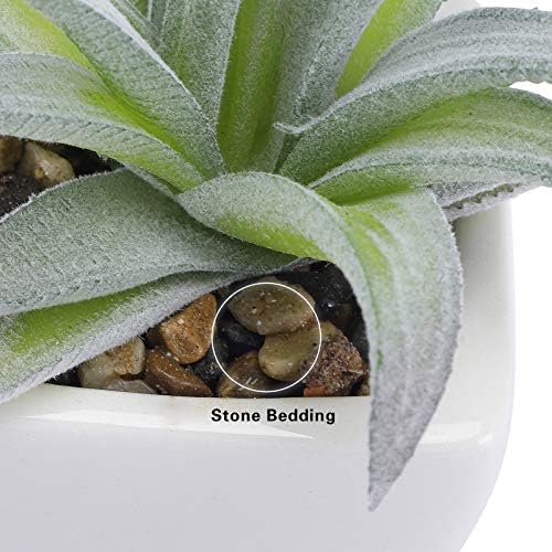 FUNARTY 5pcs Artificial Succulent Plants, Small Fake Desk Plants Mini Succulents Indoor for Shelf Living Room Bedroom Windowsills Office Home Decoration (Include White Ceramic Pots) - Image 4