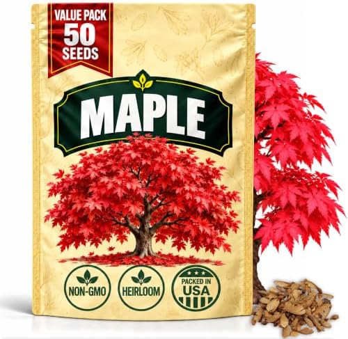 Maple Tree Seeds for Planting, Acer Species, Heirloom Non-GMO Ornamental Shade Tree Seeds, High Germination Deciduous Landscape Tree for Outdoor Gardens and Bonsai Projects, 50 Count by WilyFox