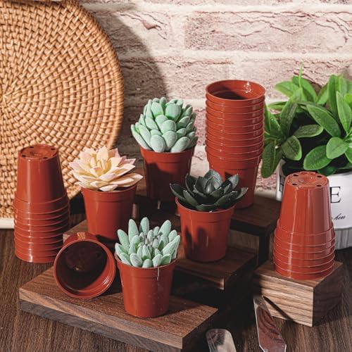 Yaomiao 200 Pcs 2 Inch Red Mini Nursery Pots with Drainage Holes - Image 5