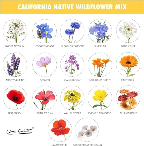 California Wildflower Mix - 7,500 Seeds - 17 Varieties - No Fillers, Open Pollinated and Non GMO, Perennial and Annual Garden Flowers, Attracts Bees and Butterflies - Image 3