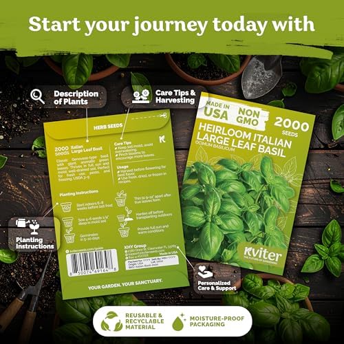 2,000 Italian Basil Heirloom Herb Seeds for Planting, Ocimum Basilicum - Image 2