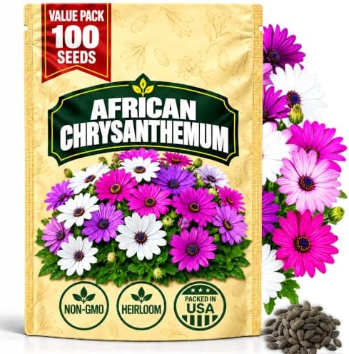 African Chrysanthemum Seeds for Planting, Osteospermum ecklonis, Heirloom Non-GMO African Daisy Cape Marguerite Flower Seeds, High Germination White Daisy-Like Perennial Garden Plant, 100 Count by WilyFox