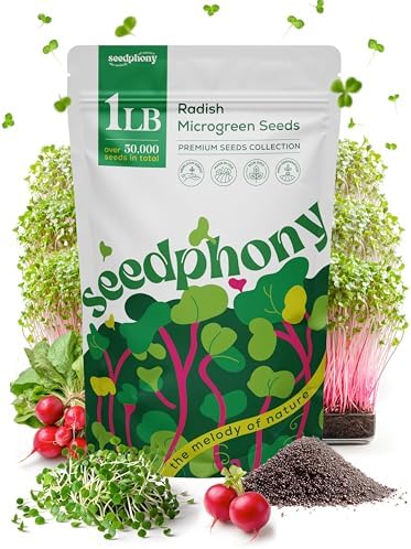 Radish Sprouting & Microgreens Seeds - 50,000 Non-GMO Heirloom Seed, 1lb Resealable Bag - High-Germination Radish Seeds for Sprouting in Jars, Soil, Hydroponics & Microgreen Trays by Seedphony