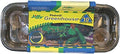 Jiffy 42mm Windowsill Greenhouse 10 by Jiffy
