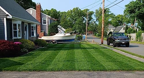 Tuff Turf, Lawn Grass Seed Mixture, 1 lb - Image 7