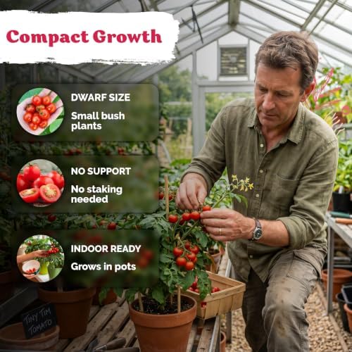 225 Tiny Tim Tomato Heirloom Vegetable Seeds, Solanum Lycopersicum - Image 4