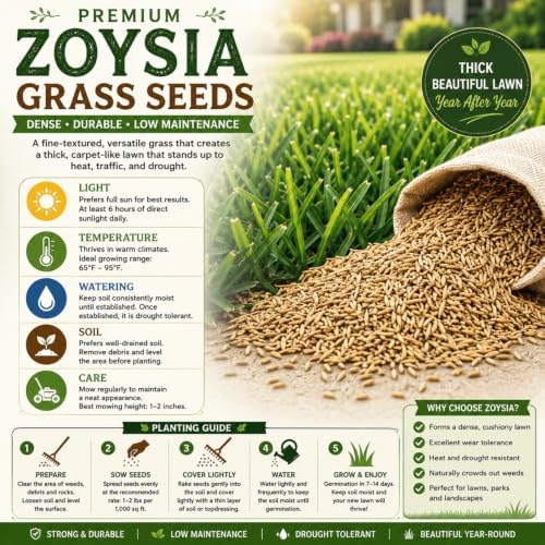 100,000 Emerald Zoysia Grass Seeds Garden, Patio Container Plant - Image 3