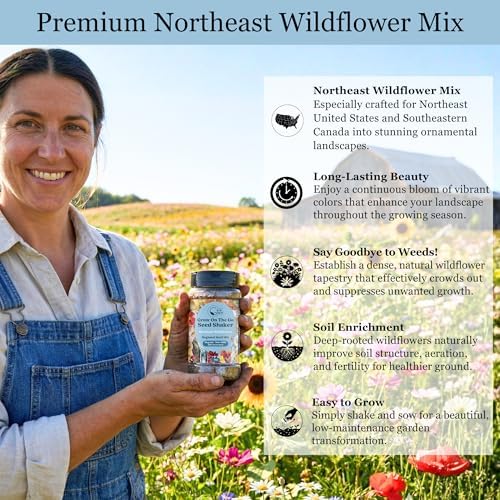 Wildflower Seed Shaker, Northeast USA, Annual & Perennial, 60K+ Seeds, 2 oz - Image 4