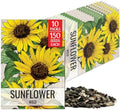 Seed Needs Wild Sunflower Seeds to Plant Cut Flowers - 10 Packs by SeedNeeds