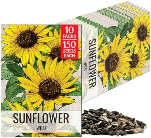 Seed Needs Wild Sunflower Seeds to Plant Cut Flowers - 10 Packs by SeedNeeds