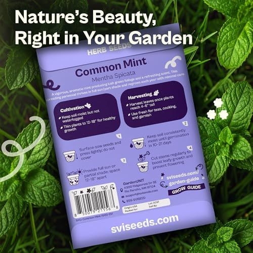 SVI 1900 Common Mint Seeds (Mentha spicata) – Aromatic Mint Seed Packets, Spearmint Leaves Seed Starting – Heirloom Herb Seeds for Outdoor Garden & Indoor Herb Garden Containers, Raised Beds - Image 2