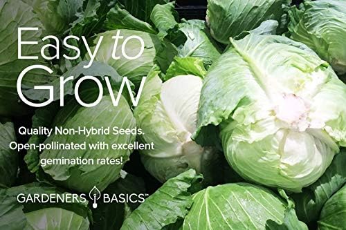 Gardeners Basics, Cabbage Seeds for Planting 5 Individual Packets Bok Choy, Michihili (Napa) Chinese Cabbage, Red, Golden Acre and Copenhagen Market Early for Your Non GMO Heirloom Vegetable Garden - Image 5