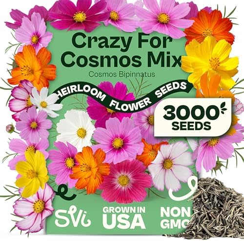 SVI 3000 Mix Crazy for Cosmos Seeds (Cosmos bipinnatus) – Cosmo Mix Wildflower Seed Packets – Easy Grow Annual, Bulk Flower Seeds for Outside Flower Garden, Containers, Flowers Beds by SVI