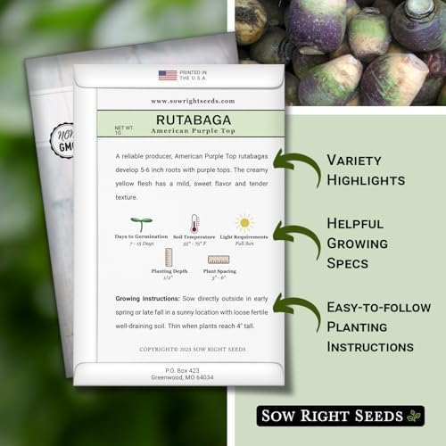 Sow Right Seeds - American Purple Top Rutabaga Seed for Planting Garden - Image 2