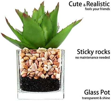 Briful Mini Fake Plants 3 Packs Cute Succulents Artificial Plants in Square Glass Vase Pot Potted Faux Succuletns for Living Room Dining Room Bathroom Kitchen Windowsill Table Decor - Image 3