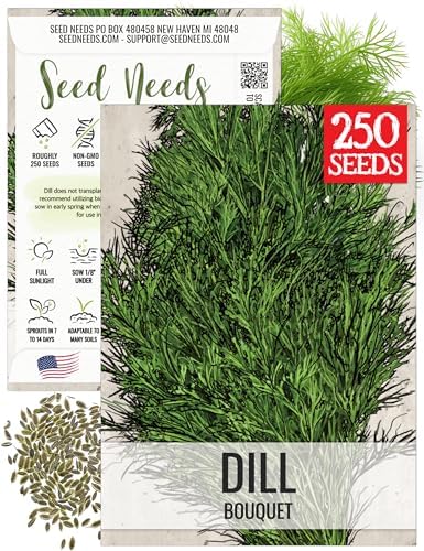 Seed Needs Bouquet Dill Seeds to Plant an Herb Garden - 1 Pack by SeedNeeds
