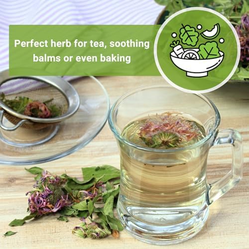Sow Right Seeds - Lemon Mint Seed for Planting Perennial Medicinal Herb 3pk - Image 5