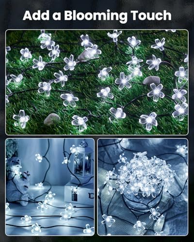Brightown 60 LED Solar Flower String Lights Outdoor Waterproof Fairy Lights for Garden Yard Fence Patio Christmas Tree Wedding Party Decor, Pure White - Image 2