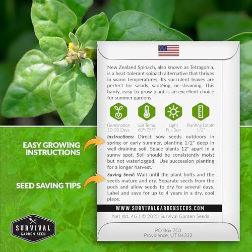 New Zealand Spinach Seeds for Planting - 2 Packs - Image 2