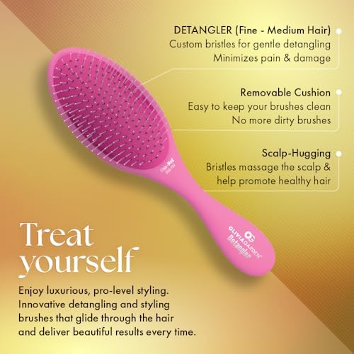 Olivia Garden Aurora Detangler Brush for Wet and Dry Fine to Medium Hair - Detangling Brush for Women, Men, Kids - Image 2