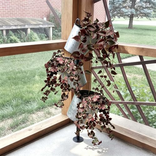 2 Pack Artificial Red Satin Pothos, Faux Trailing Vine Potted Plans - Image 6