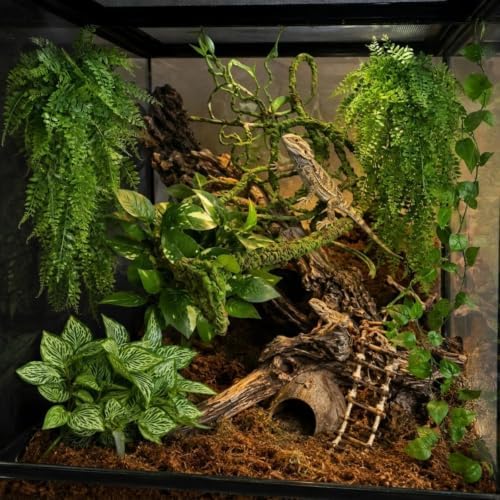 Reptile Plants for Terrarium, Bearded Dragon Tank Accessories - Image 5