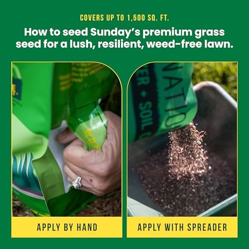 Sunday Heat Tolerant Seed + Feed - 3-in-1 Grass Seed, Fertilizer, & Soil Conditioner - Strengthens Lawns Against Heat & Drought - Covers 1,500 sq. ft. - 10lbs (Pack of 3) - Image 6