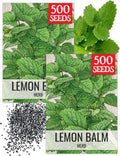 Seed Needs Lemon Balm Seeds to Plant an Herb Garden - 2 Packs by SeedNeeds
