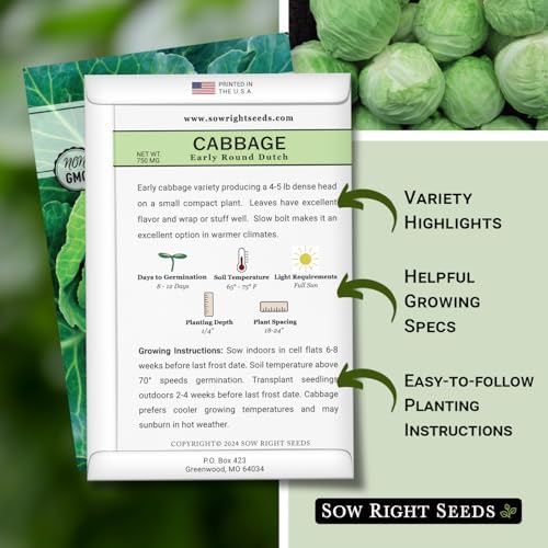 Sow Right Seeds - Early Round Dutch Cabbage Seed for Planting Vegetables - Image 2