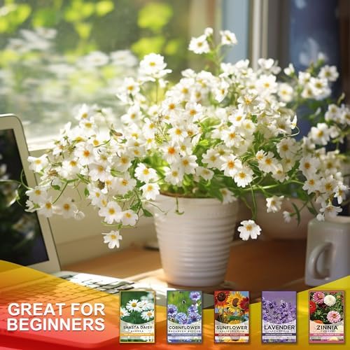 Meekear 5 Kit - Growing into Shasta Daisy, Cornflower, Sunflower, Zinnia, Lavender for Indoor Outdoor Garden DIY Gifts - Image 3