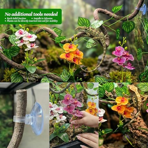5 Pcs Reptile Plants & Habitat Decor Kit - 3 Artificial Phalaenopsis Orchid & Large 5ft Jungle Vine Branch, Terrarium Tank Decor & Climbing Accessories for Crested Gecko, Bearded Dragon - Image 6