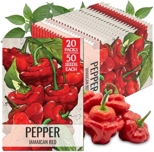 Seed Needs Jamaican Red Hot Pepper Seeds to Plant Vegetables - 20 Packs by SeedNeeds