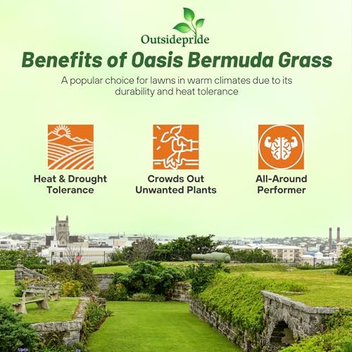 Outsidepride Oasis Bermuda Grass Seed - 5 lbs Warm Season, High Traffic, Heat Resistant, Drought-Tolerant, Low-Maintenance, Fast Growing Turf Grass for Lawn, Ideal for Sunny Areas, Thick Coverage - Image 5