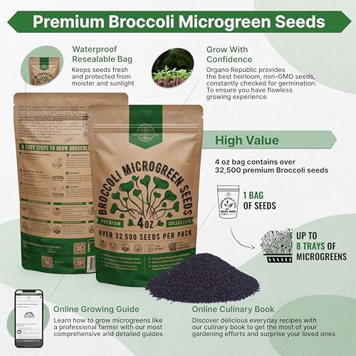 Organo Republic Broccoli Sprouting & Microgreens Seeds - 32,500 Non-GMO Heirloom Seeds, Sprouts in Bulk 4oz Resealable Bag for Planting & Growing in Soil, Coconut Coir, Aeroponic & Hydroponic System - Image 2