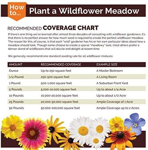 ~ Coastal California Wildflower Seed Mix 23 Species of Wildflower Seeds (50 lbs) - Image 4