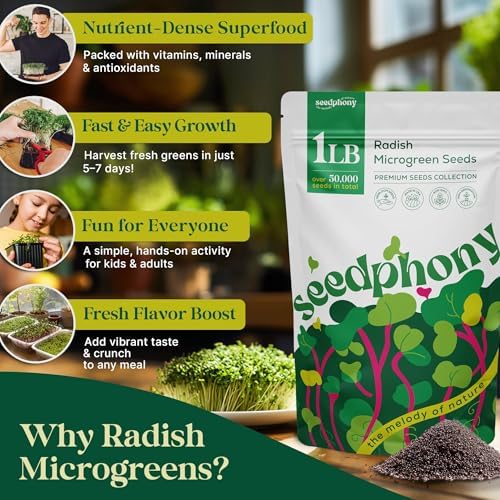 Radish Sprouting & Microgreens Seeds - 50,000 Non-GMO Heirloom Seed, 1lb Resealable Bag - High-Germination Radish Seeds for Sprouting in Jars, Soil, Hydroponics & Microgreen Trays - Image 4